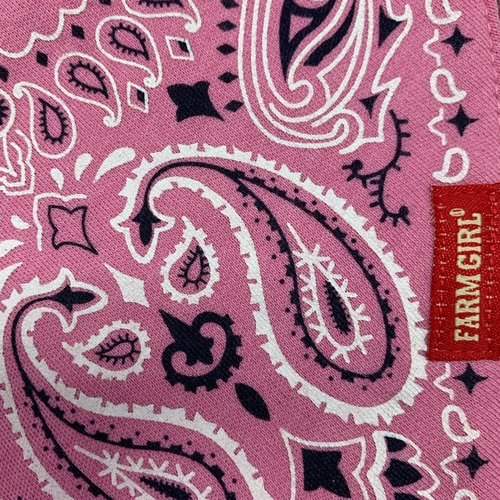 Farm Girl Brand Pink Paisley Bandana Baby Bib